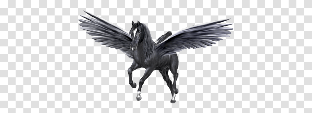 Pegasus, Fantasy, Bird, Animal, Horse Transparent Png