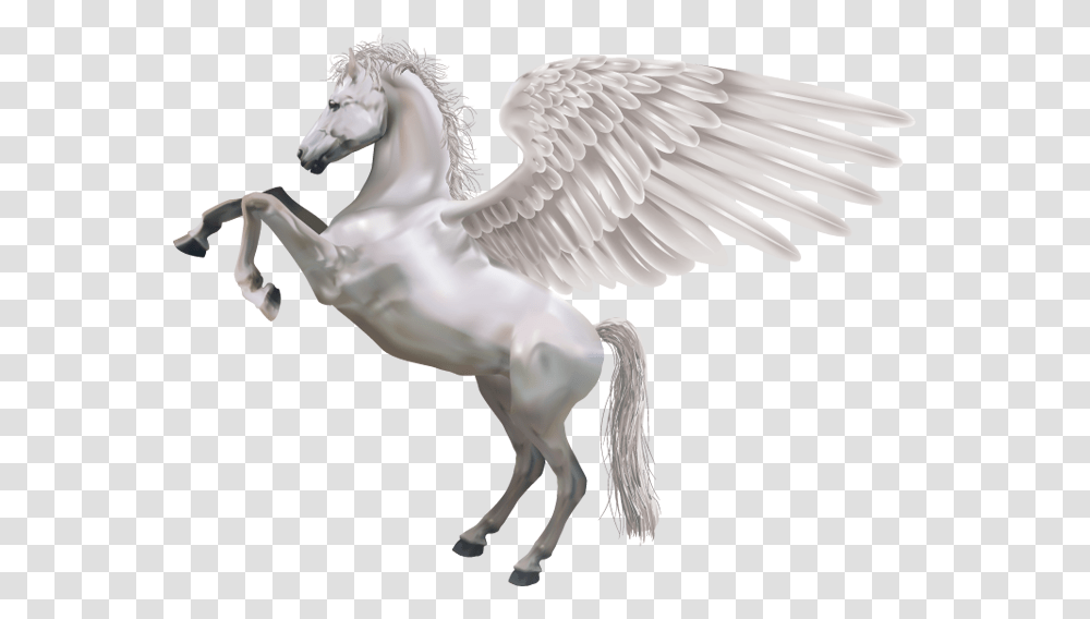 Pegasus, Fantasy, Bird, Animal, Horse Transparent Png