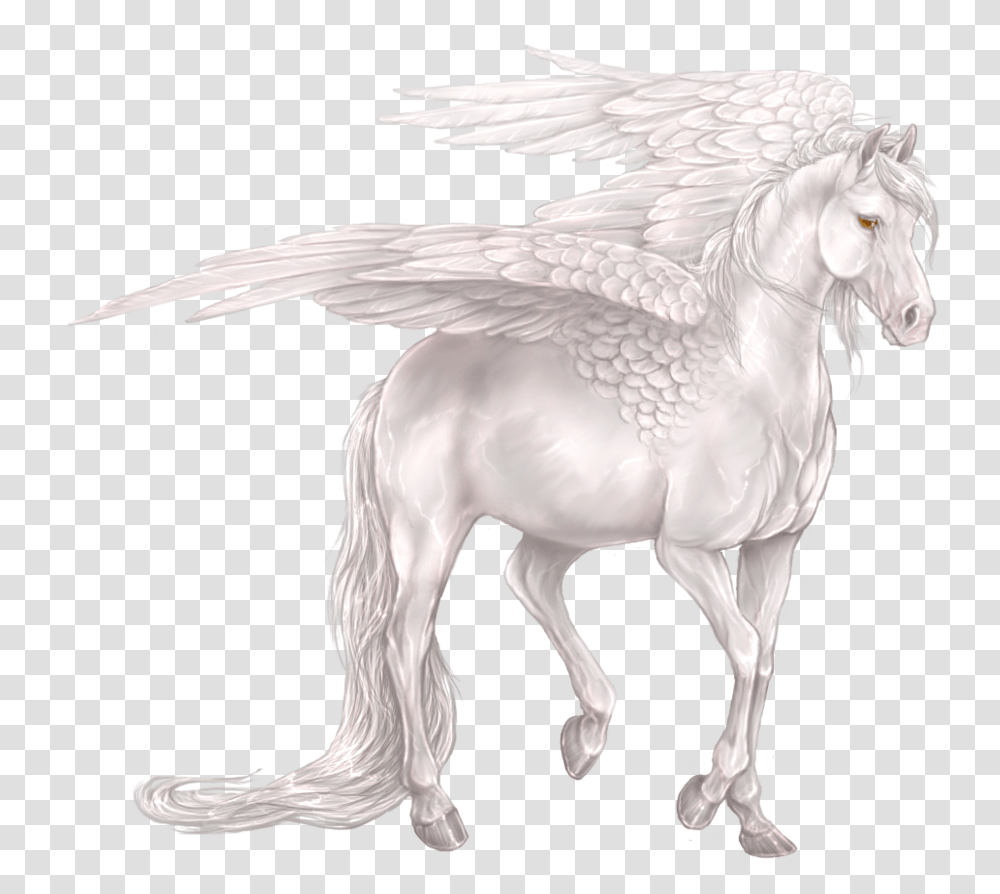 Pegasus, Fantasy, Bird, Animal, Horse Transparent Png