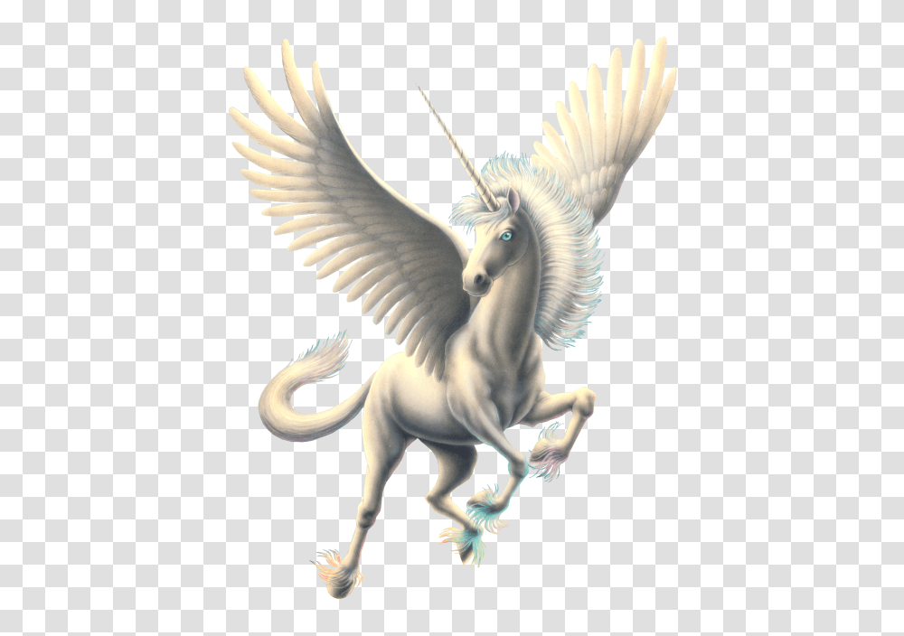 Pegasus, Fantasy, Dinosaur, Reptile, Animal Transparent Png