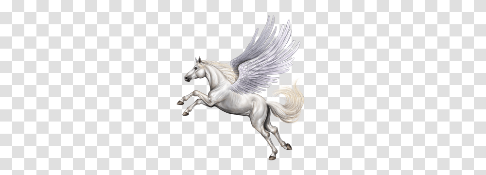 Pegasus, Fantasy, Horse, Mammal, Animal Transparent Png