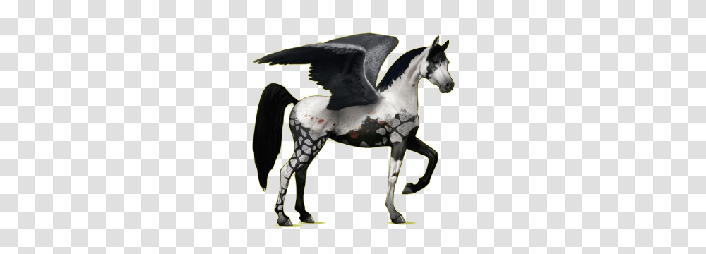 Pegasus, Fantasy, Horse, Mammal, Animal Transparent Png