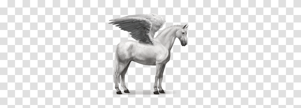 Pegasus, Fantasy, Statue, Sculpture Transparent Png