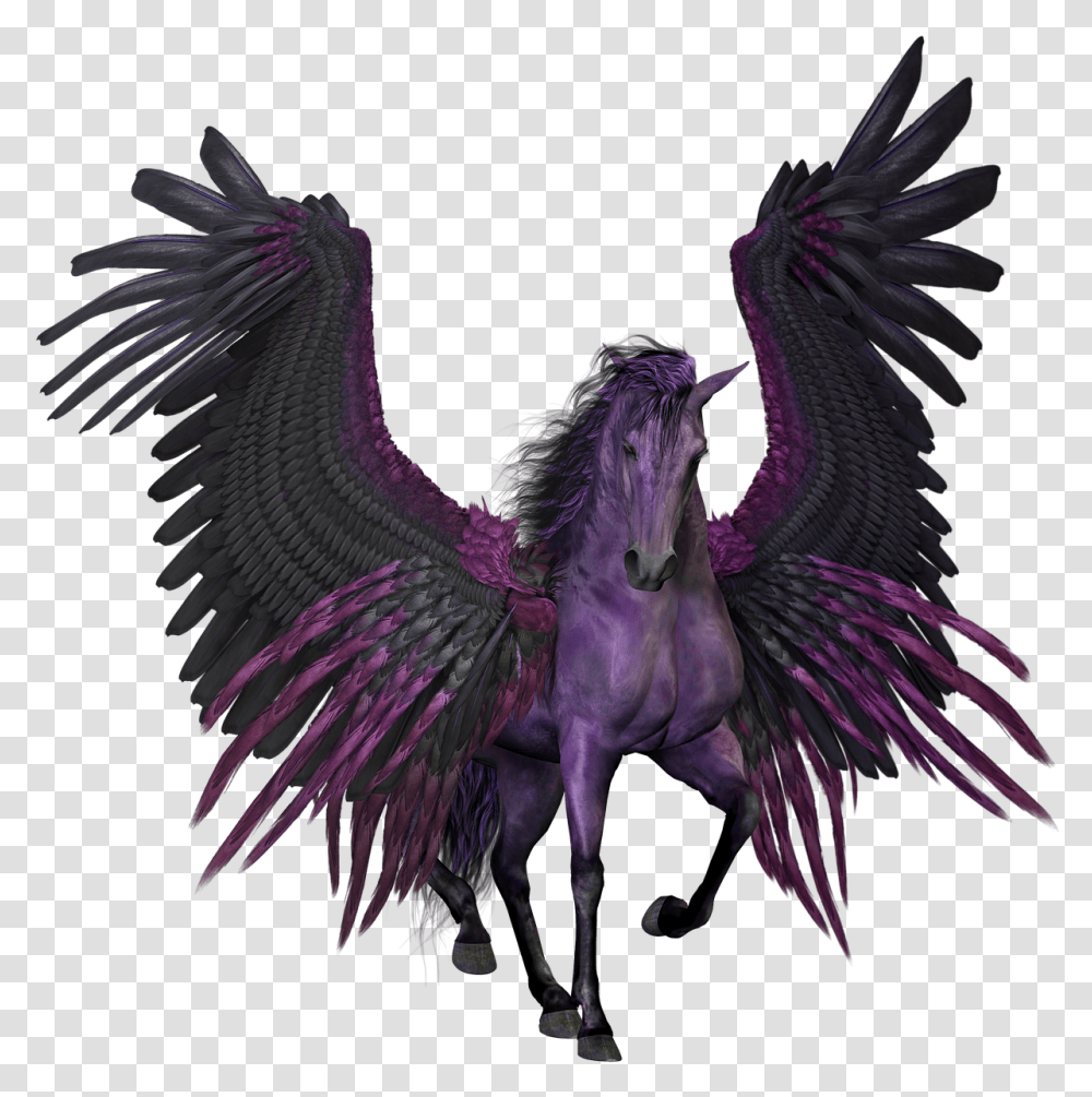Pegasus Flying Winged Horse Pony Myth Black And Purple Pegasus, Dragon, Chicken, Poultry, Fowl Transparent Png