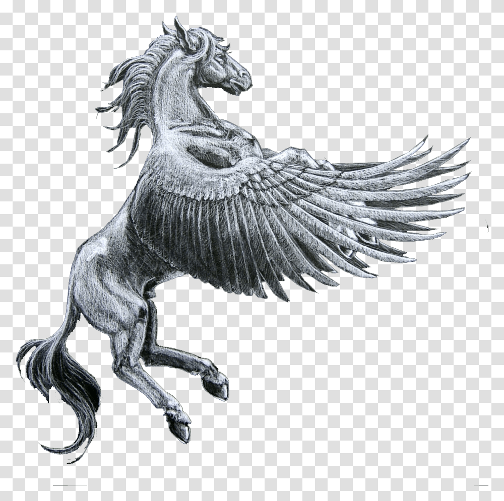 Pegasus Horse Download Pegasus Horse, Dinosaur, Animal, Bird Transparent Png
