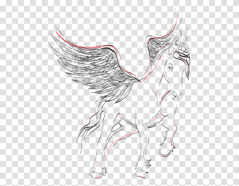 Pegasus Horse Wing Winged Horse Mystical Black Kolorowanka Pegaz Do Druku, Bird, Animal, Blackbird, Person Transparent Png