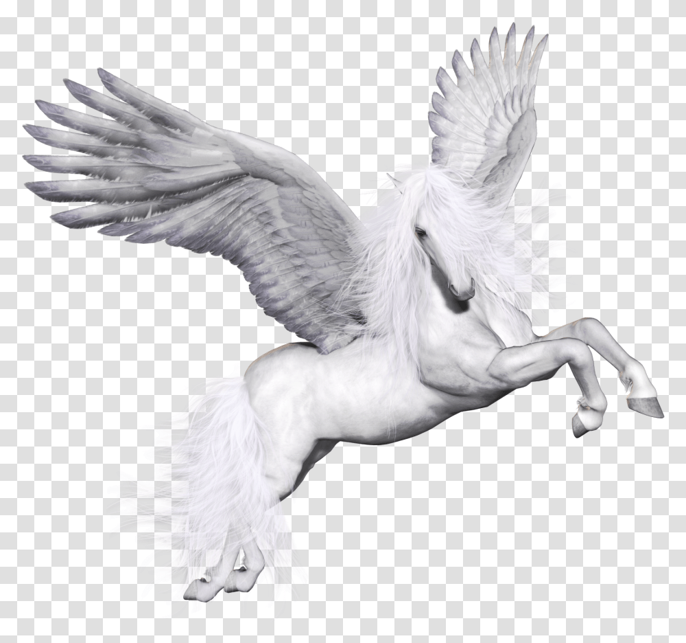 Pegasus Image Pegas Animaciya Na Prozrachnom Fone, Bird, Animal, Dove, Pigeon Transparent Png