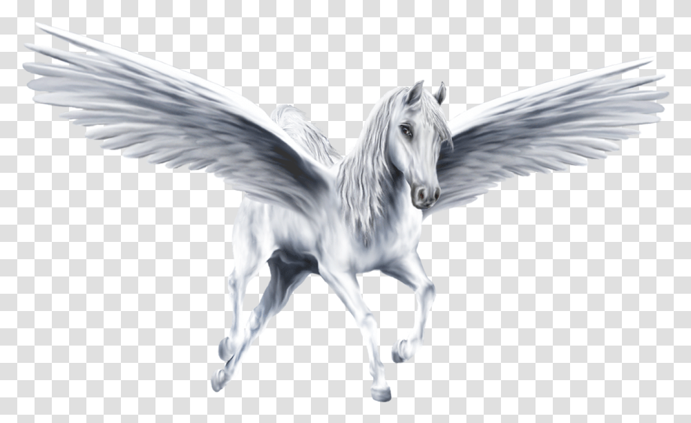 Pegasus Image Pegasus, Bird, Animal, Angel Transparent Png
