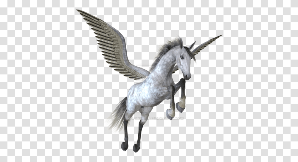Pegasus Image Pegasus, Bird, Animal, Dove, Pigeon Transparent Png