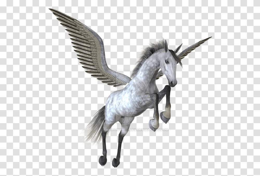 Pegasus Image Pegasus, Bird, Animal, Horse, Mammal Transparent Png
