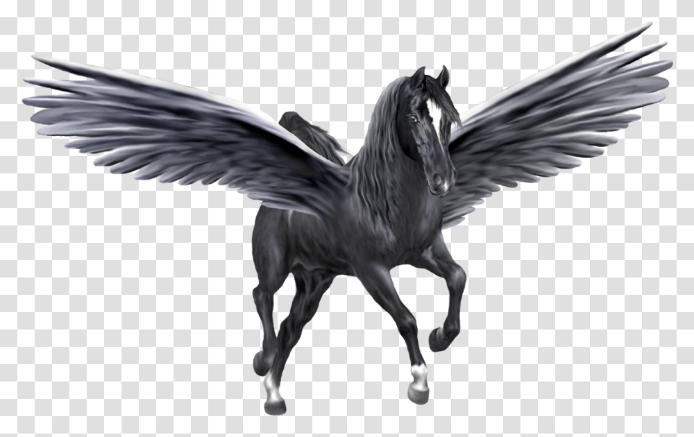 Pegasus Pegasus, Bird, Animal, Horse Transparent Png