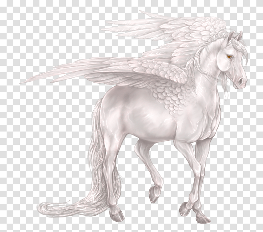 Pegasus Portable Network Graphics, Bird, Animal, Horse Transparent Png