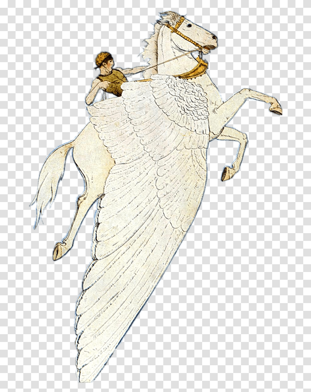 Pegasus Winged Horse Illustration, Bird, Animal, Person Transparent Png