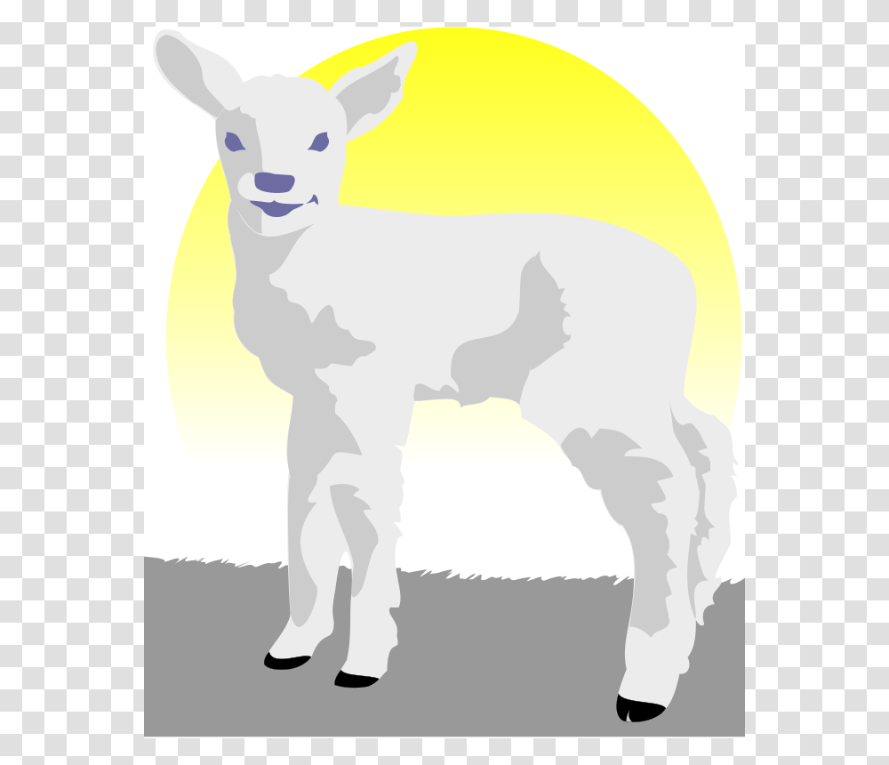 Peileppe Lamb, Nature, Mammal, Animal, Sheep Transparent Png