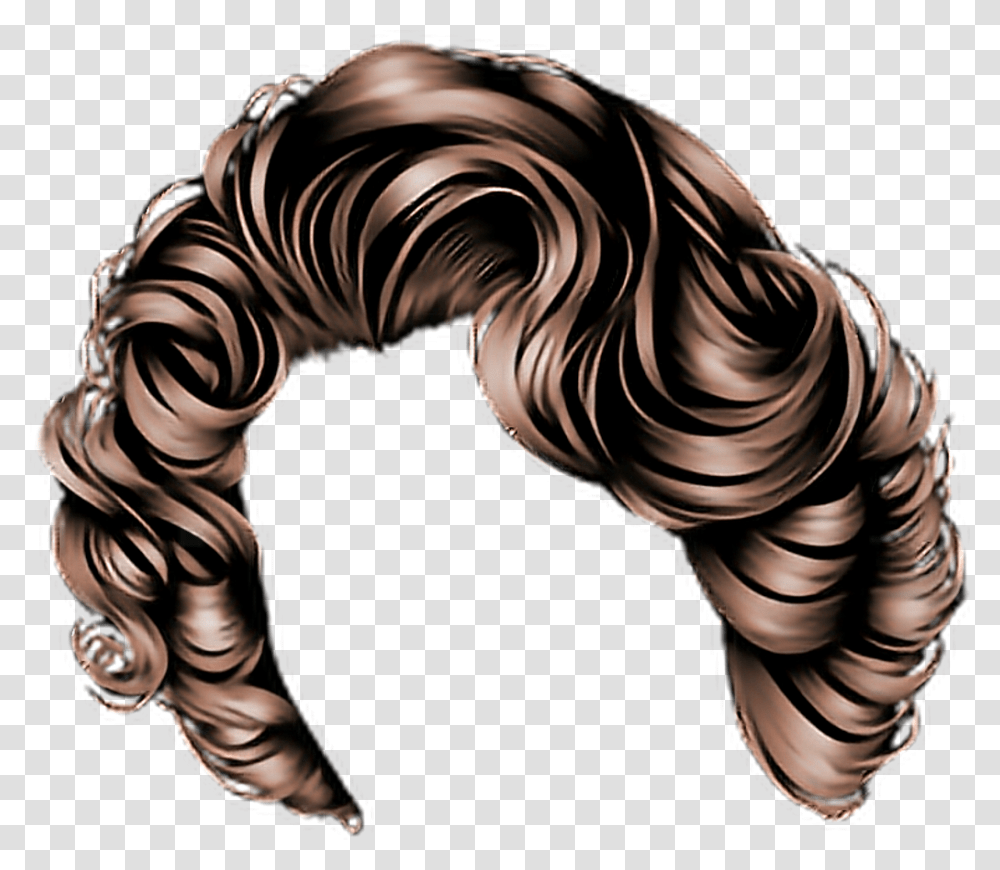 Peinados Para Photoshop Clipart Download Curly Hair, Zebra, Wildlife, Mammal Transparent Png