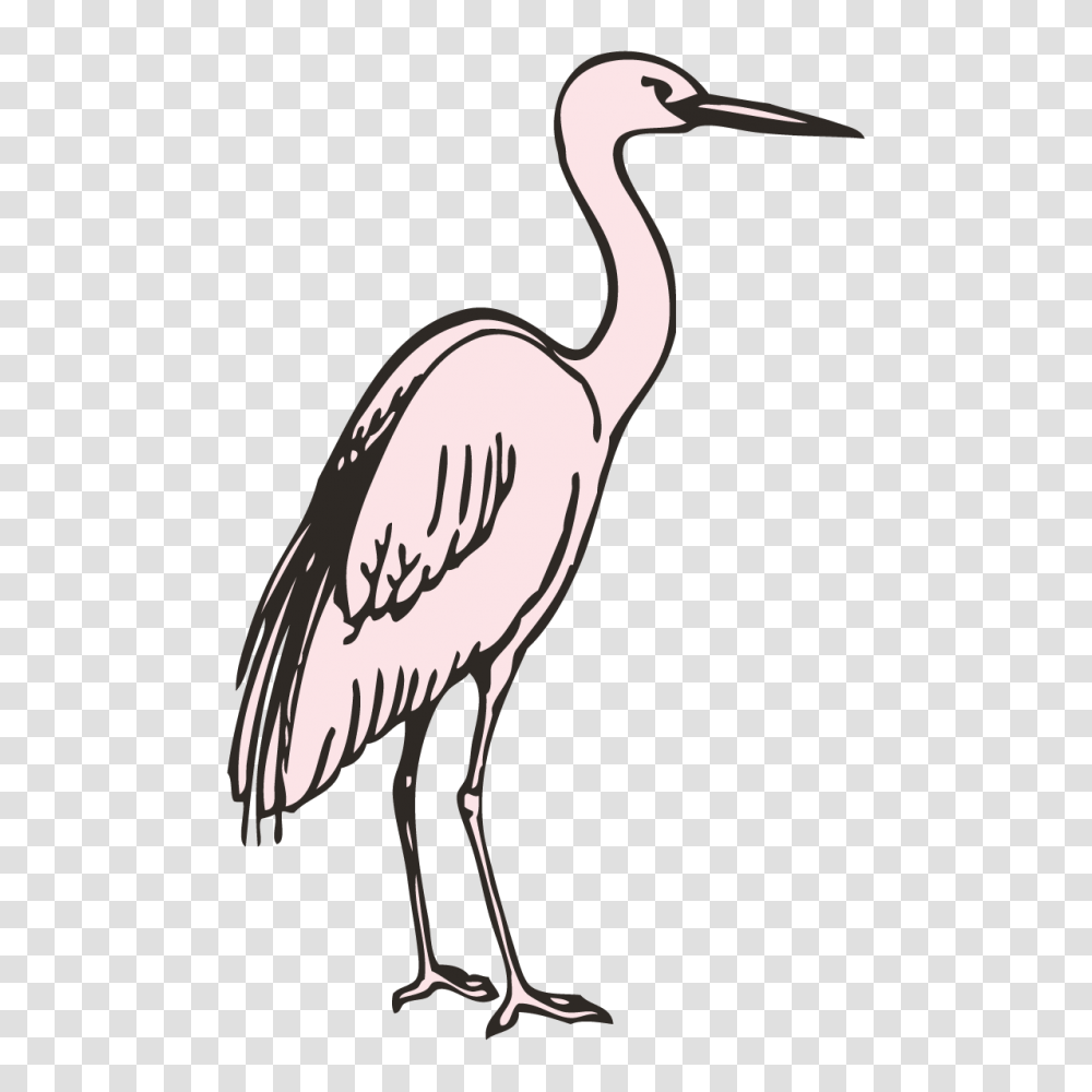 Pelecaniformes Bird Stork Beak Clip Art, Waterfowl, Animal, Crane Bird, Axe Transparent Png