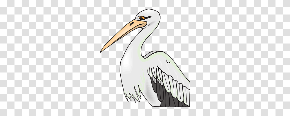 Pelican Animals, Bird, Hammer, Tool Transparent Png