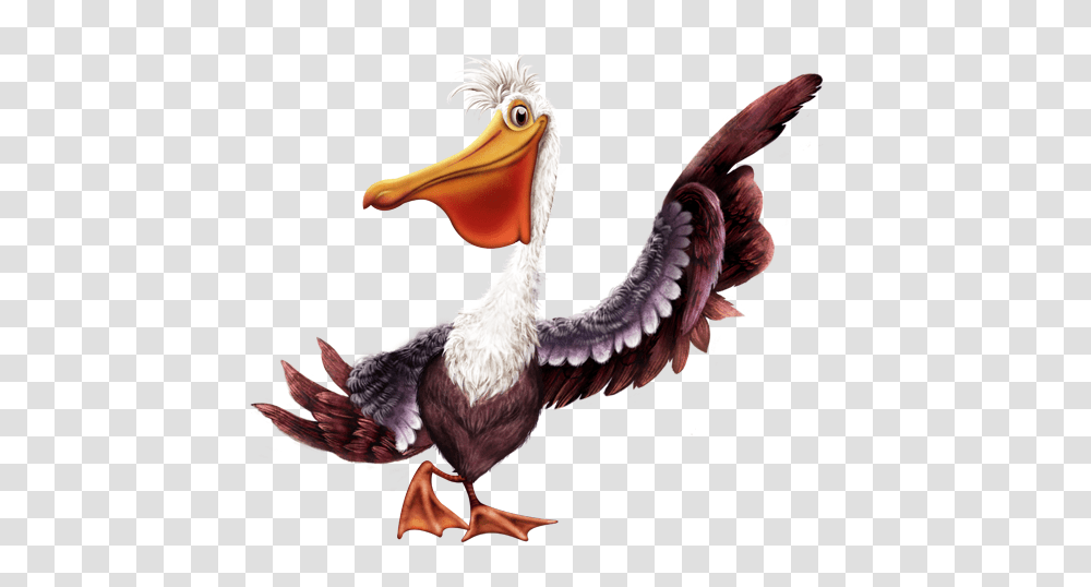 Pelican, Animals, Beak, Bird, Dodo Transparent Png