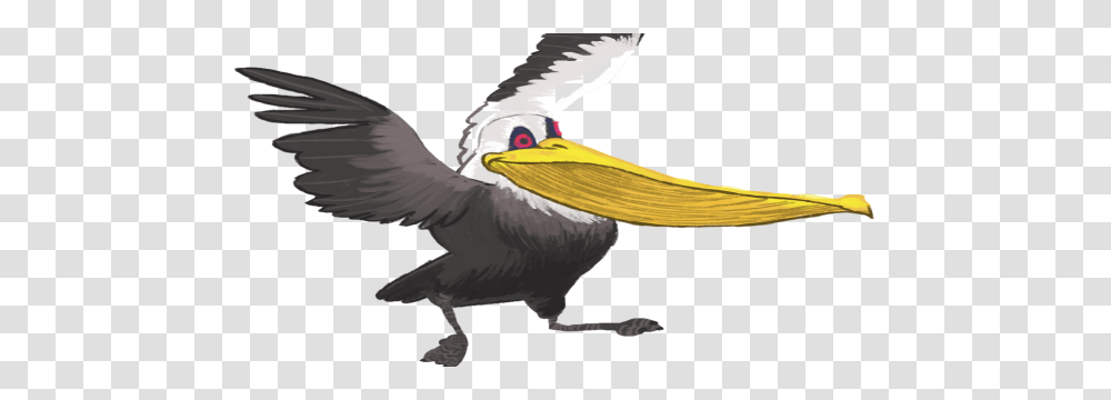 Pelican, Animals, Bird Transparent Png