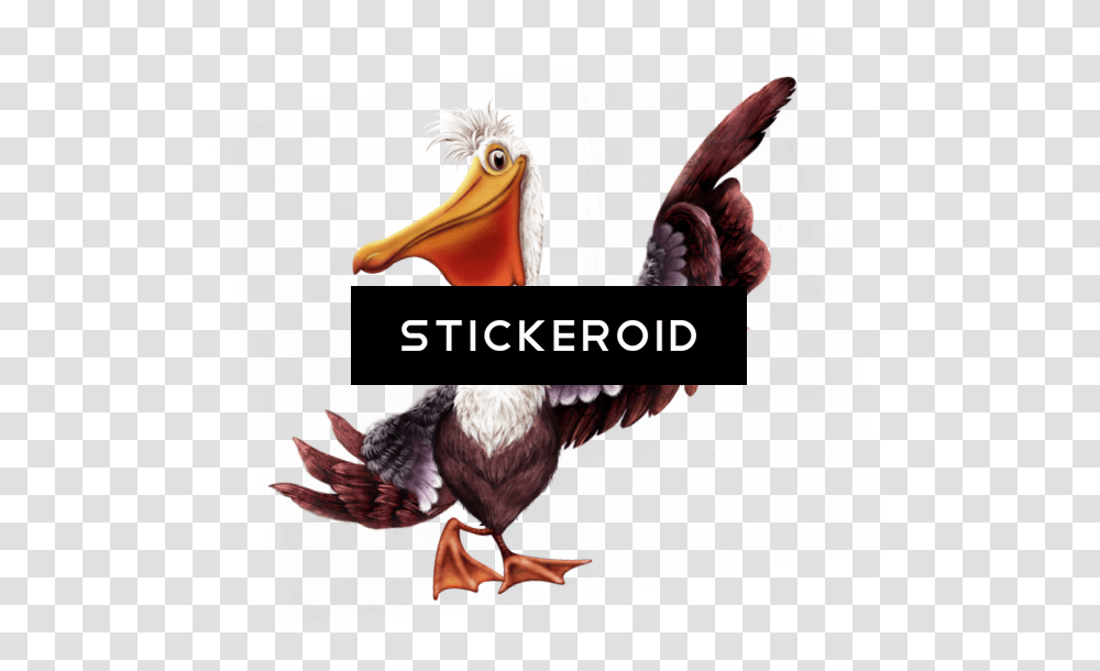 Pelican, Bird, Animal, Beak, Dodo Transparent Png