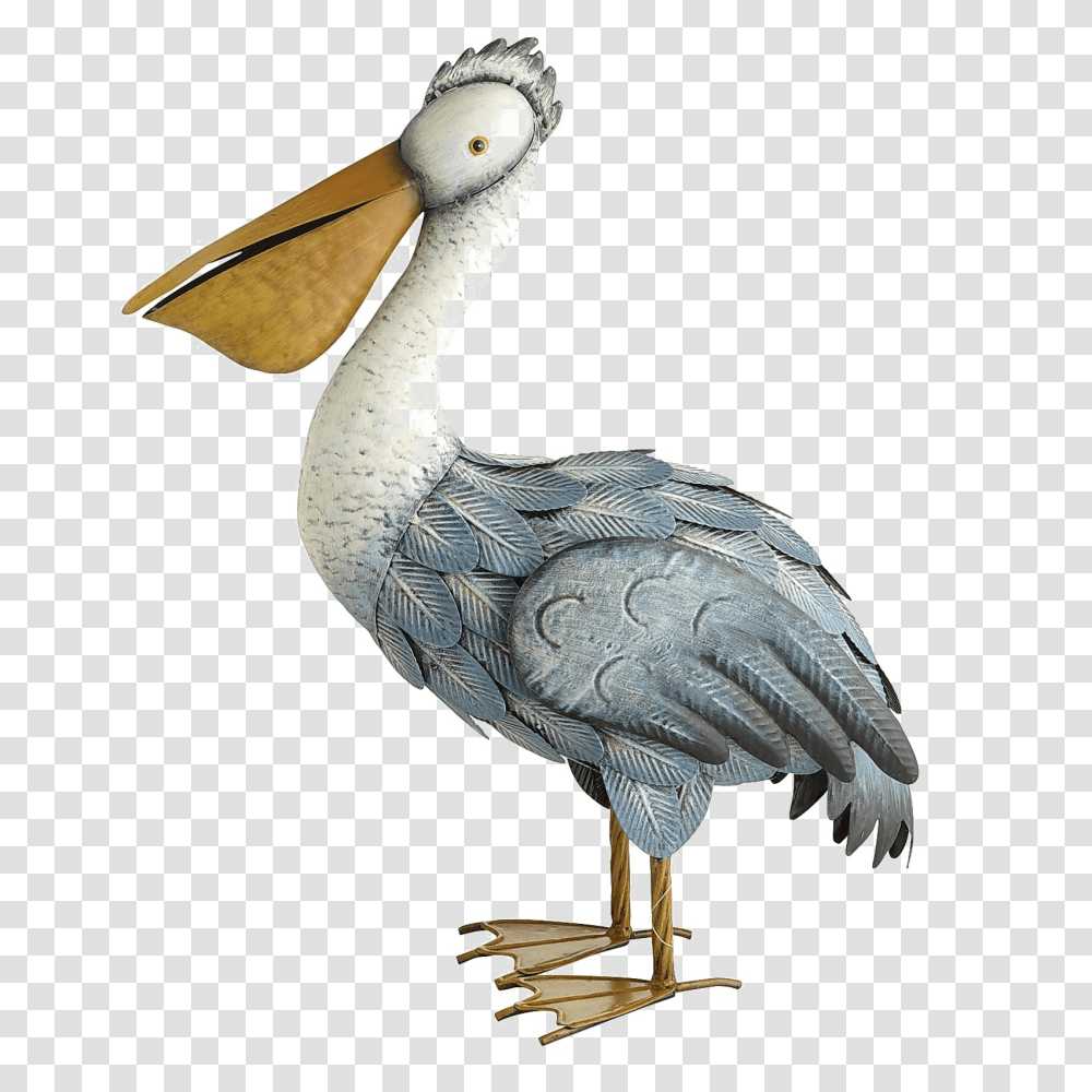 Pelican, Bird, Animal, Stork Transparent Png