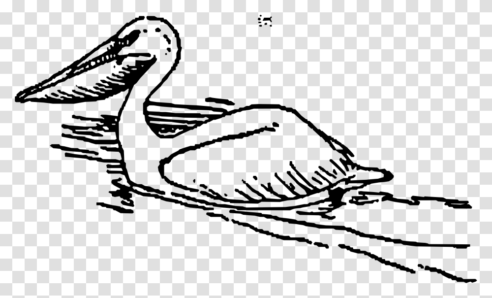 Pelican Bird Clip Art Duck Swimming Clipart Black And White, Gray, World Of Warcraft Transparent Png