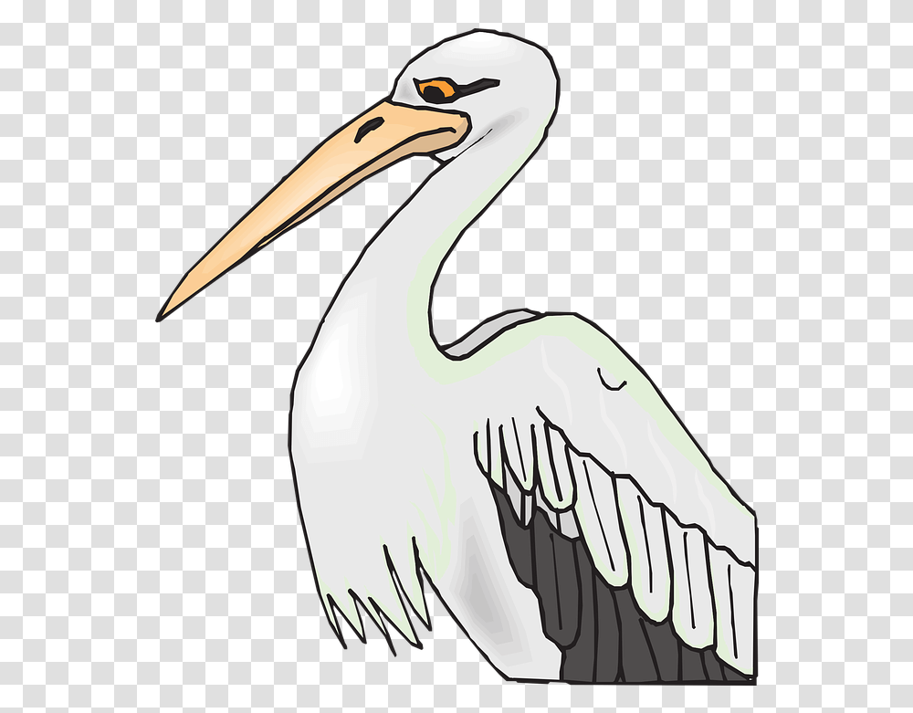 Pelican Bird Grey Free Vector Graphic On Pixabay Beak Clipart, Animal, Hammer, Tool, Stork Transparent Png