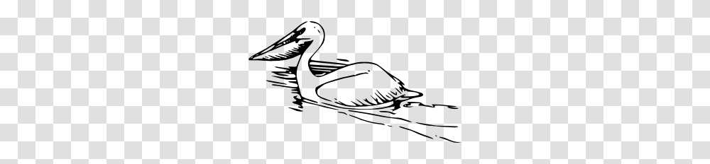 Pelican Clip Art, Bird, Animal, Goose, Duck Transparent Png