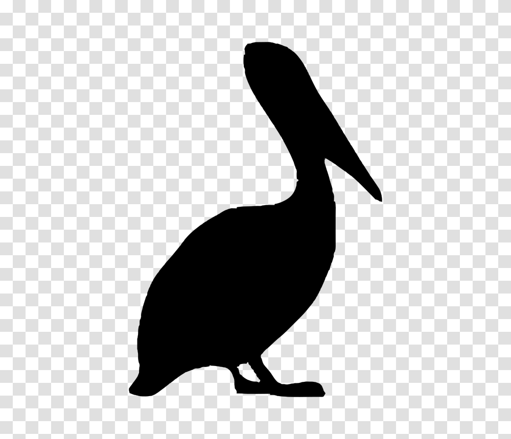 Pelican Clipart Brown Pelican, Gray, World Of Warcraft Transparent Png