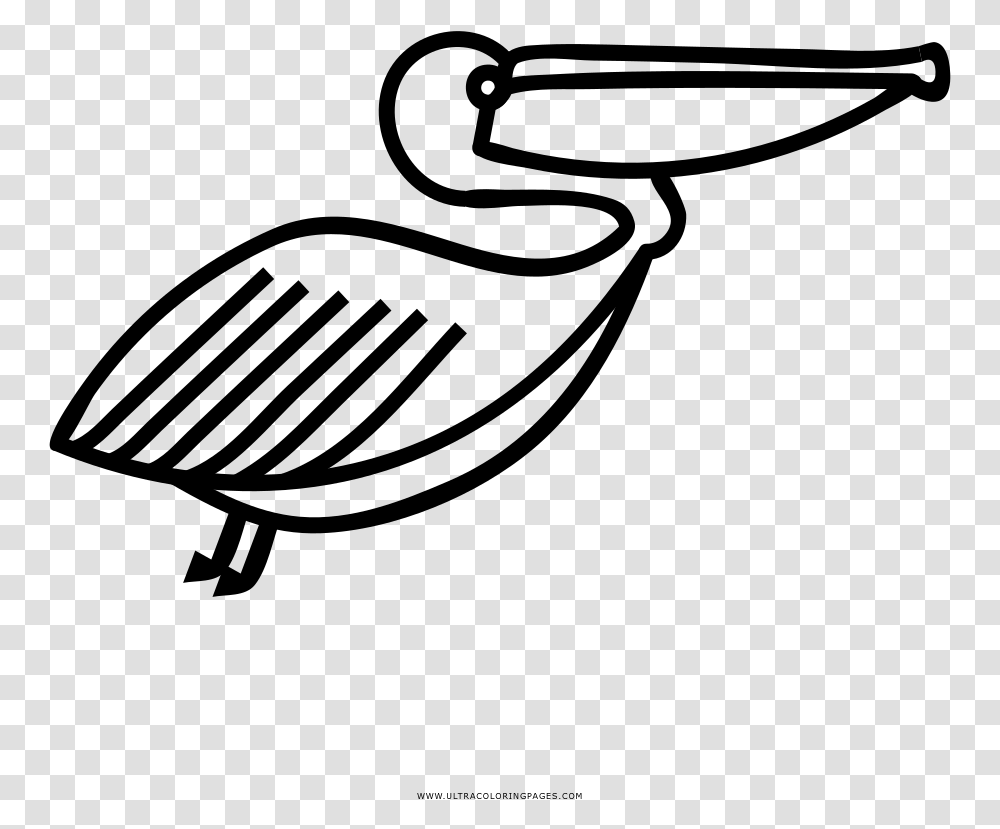 Pelican Coloring, Gray, World Of Warcraft Transparent Png