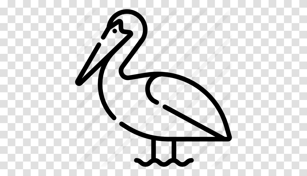 Pelican, Gray, World Of Warcraft Transparent Png