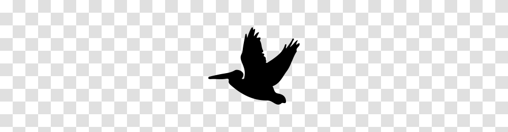 Pelican Icons Noun Project, Gray, World Of Warcraft Transparent Png