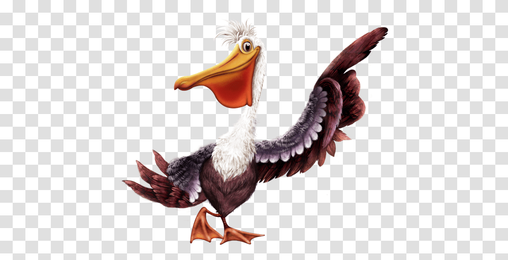 Pelican Images Free Download Pelican, Bird, Animal, Chicken, Poultry Transparent Png