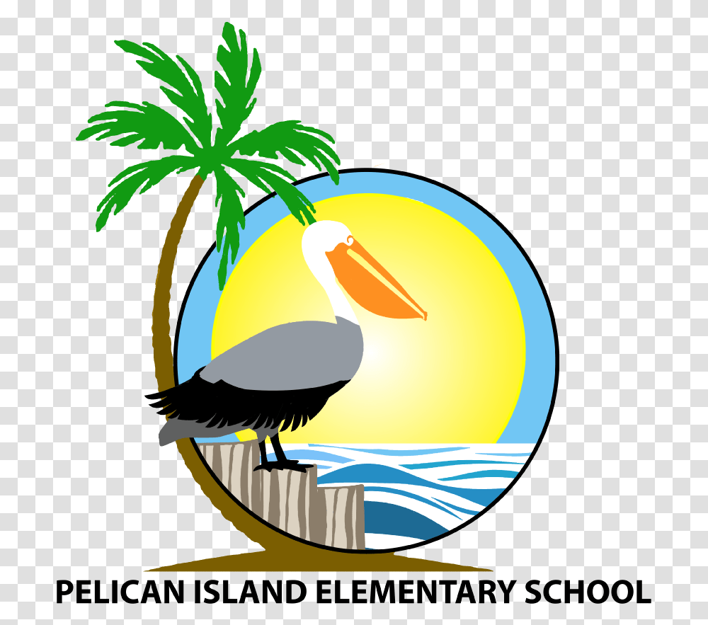 Pelican Island Elementary School Illustration, Bird, Animal, Plant Transparent Png