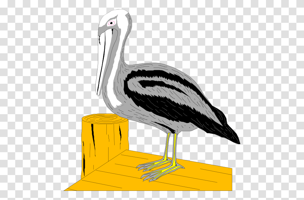 Pelican On Dock Clip Art, Bird, Animal, Stork, Beak Transparent Png
