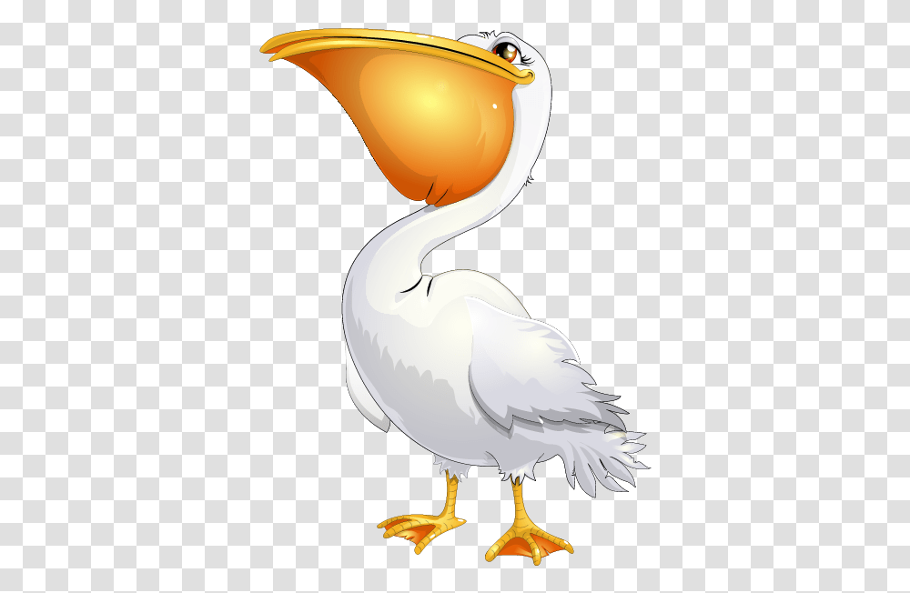 Pelican Pelican Cartoon, Bird, Animal, Crane Bird, Stork Transparent Png
