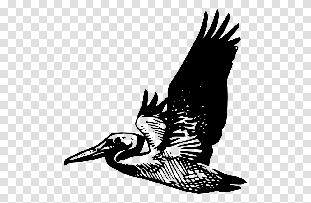 Pelican Silhouette, Flying, Bird, Animal, Eagle Transparent Png