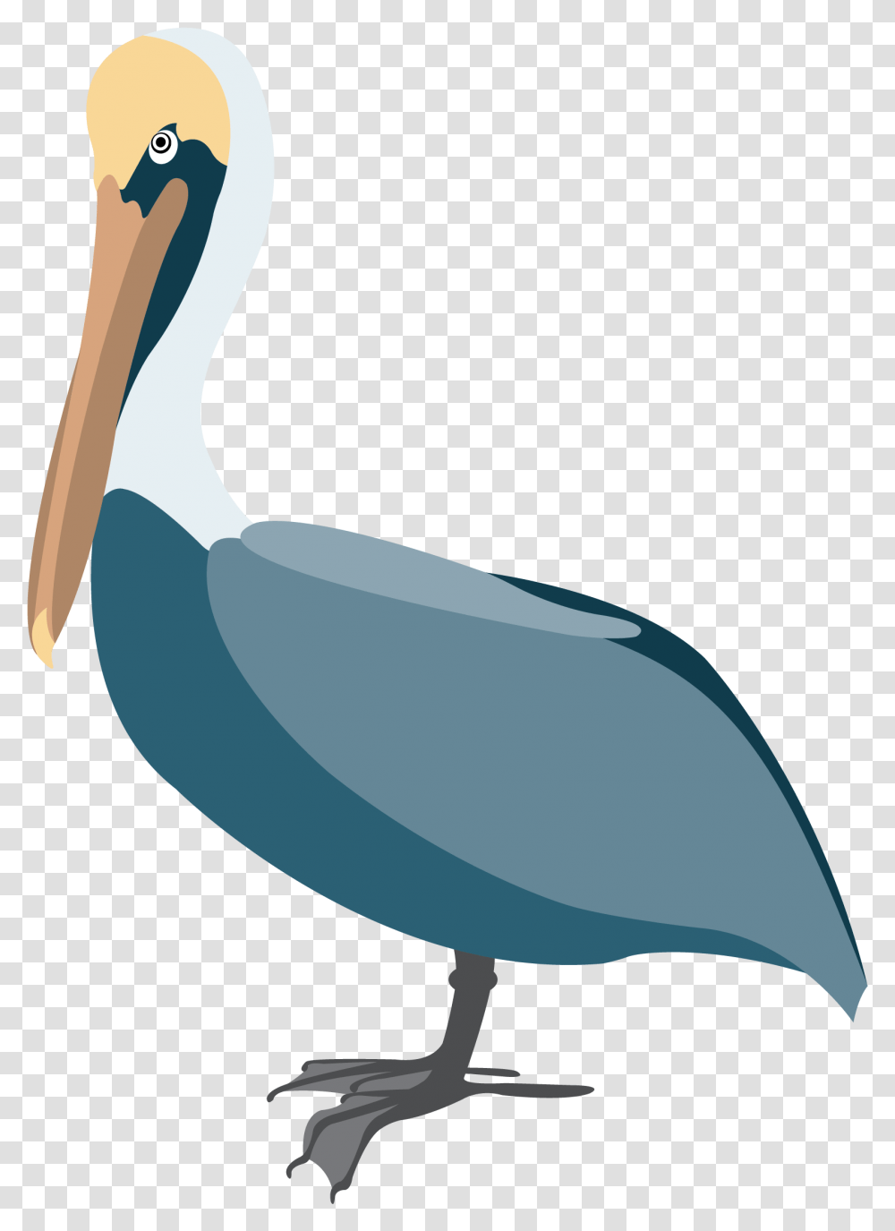 Pelican Vector Clip Art Pelican Vector, Bird, Animal, Beak Transparent Png