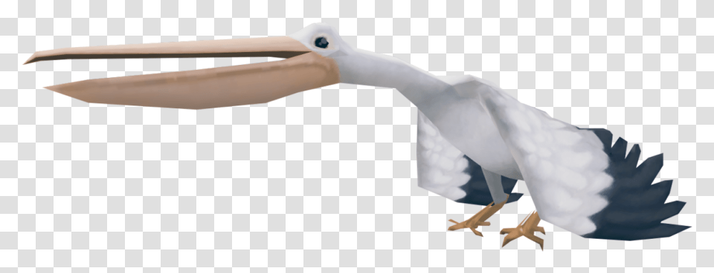 Pelican White Stork, Bird, Animal, Beak, Flying Transparent Png