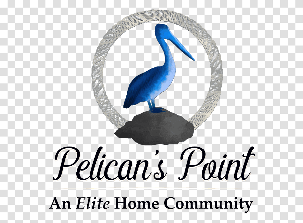 Pelicans Point Subdivision Src Pelican, Bird, Animal, Waterfowl, Stork Transparent Png