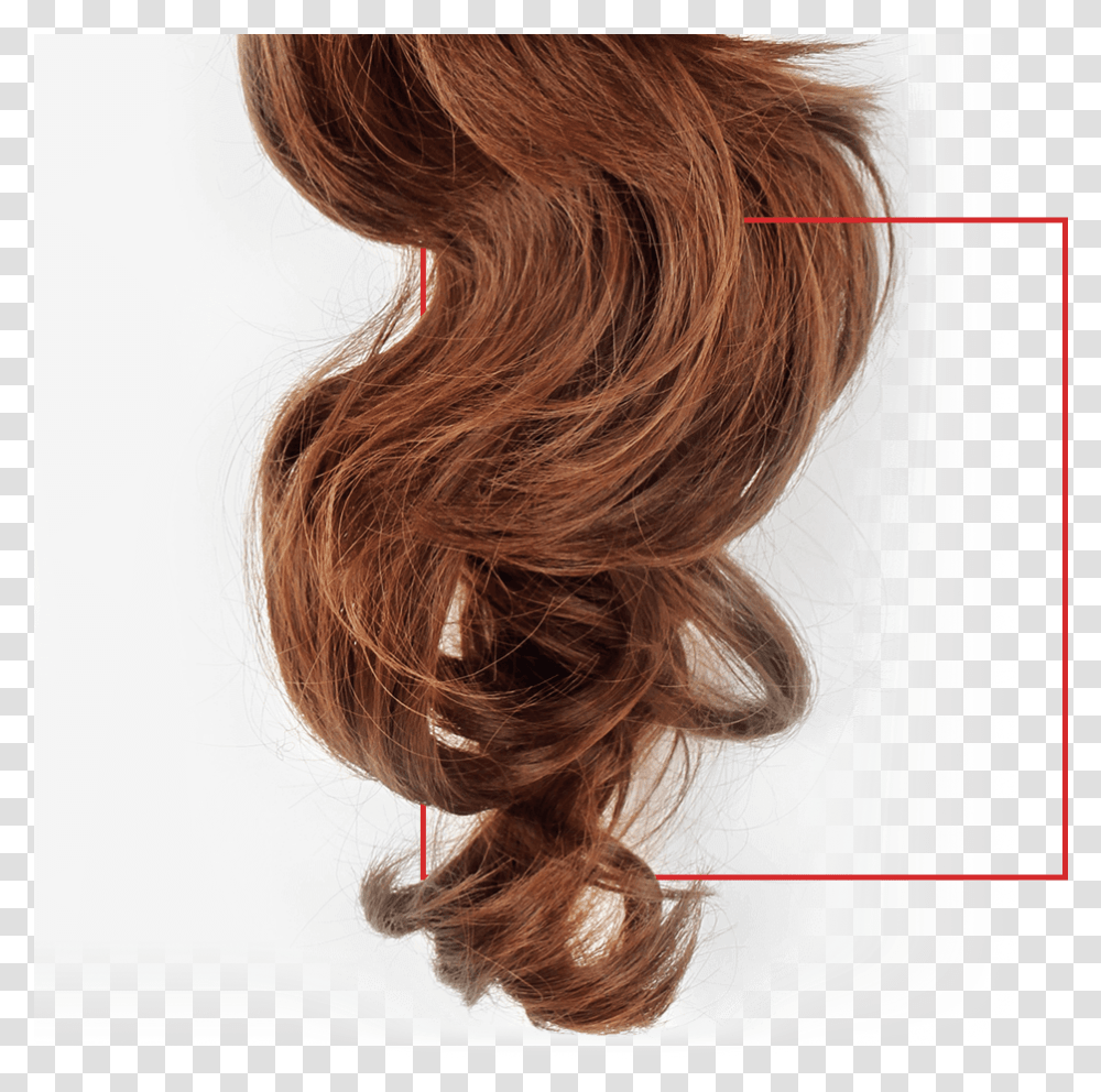 Peluca Lace Wig, Hair, Person, Human, Ponytail Transparent Png