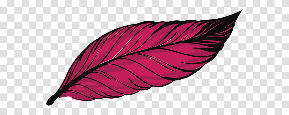 Pen Leaf, Plant, Veins, Purple Transparent Png