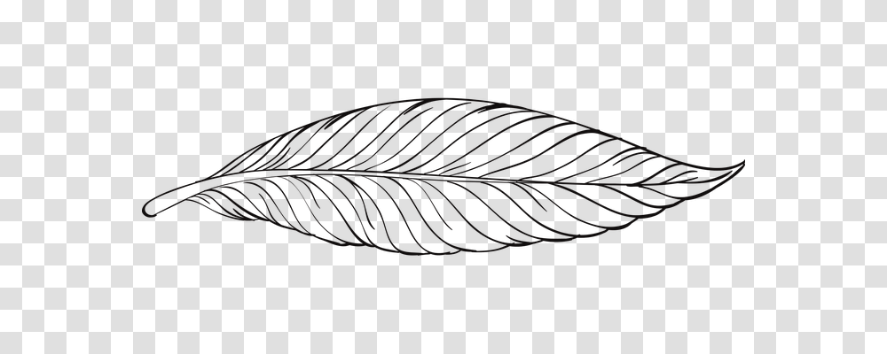 Pen Leaf, Plant, Snake, Reptile Transparent Png