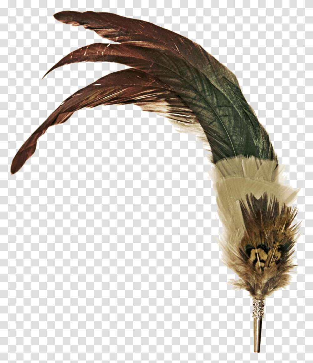 Pen Clipart Wing Vintage Pen Feather, Bird, Animal, Bronze, Plant Transparent Png