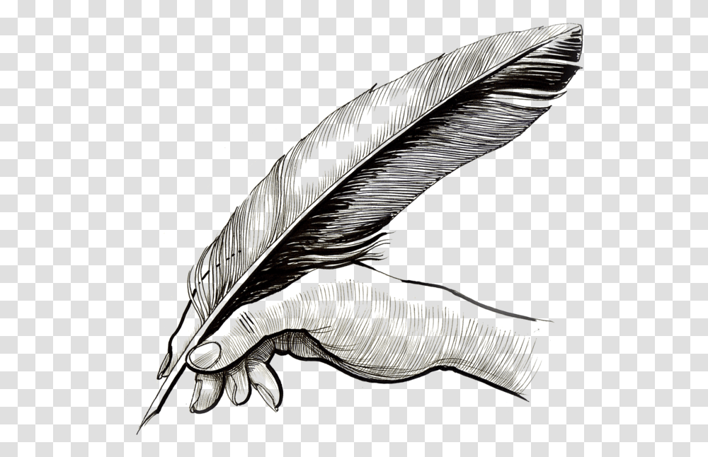 Pen Image Hand Feather Pen, Fish, Blade, Weapon, Photography Transparent Png
