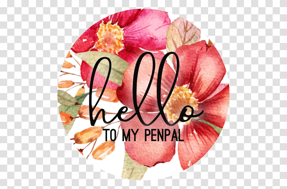 Pen Pals Background, Plant, Petal, Flower, Anther Transparent Png