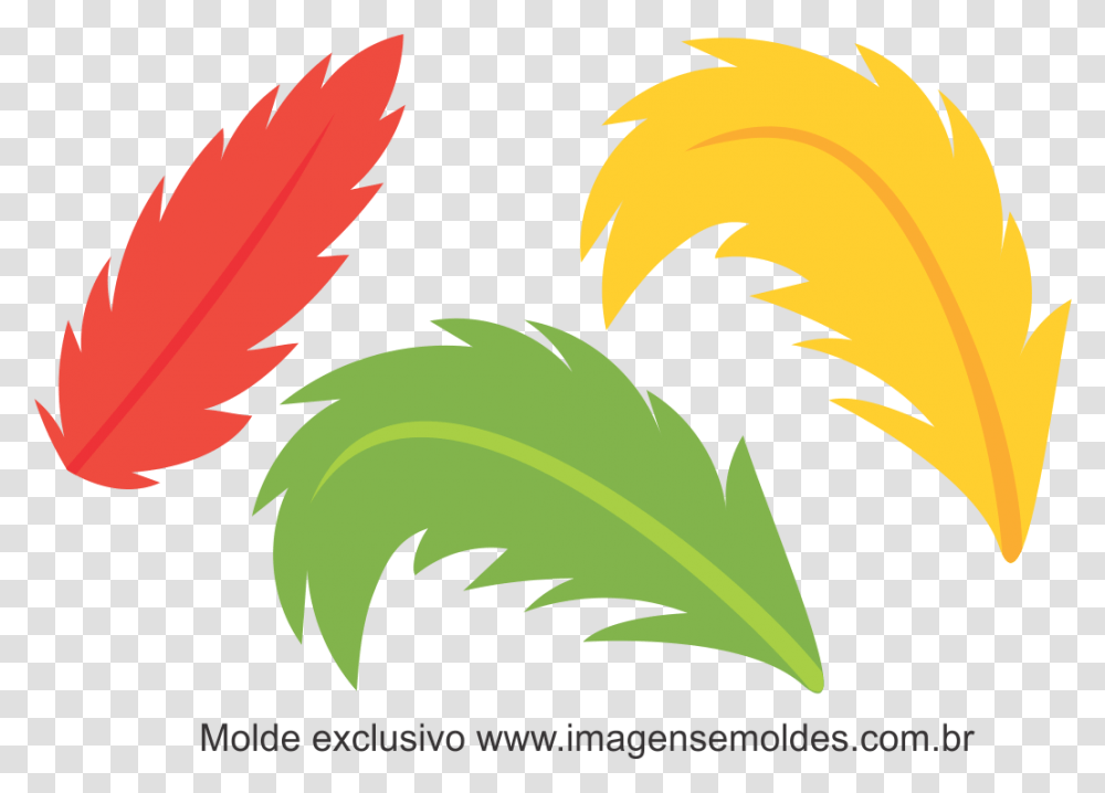Penas De Carnaval, Leaf, Plant, Green, Bird Transparent Png