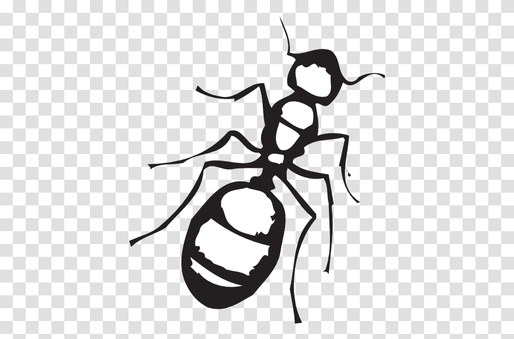 Pencil And In Color Ants Clipart Ant Clipart Black White, Invertebrate, Animal, Insect, Stencil Transparent Png