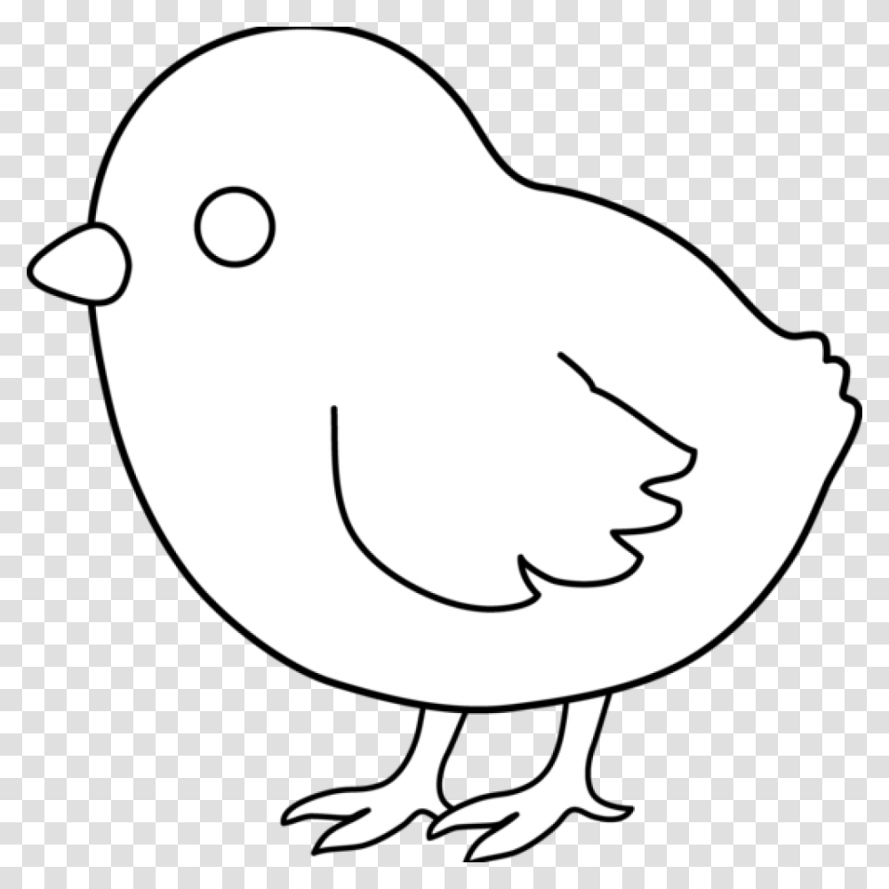 Pencil Hatenylo Com Cute Chicken Cartoon Clipart Black And White, Bird, Animal, Poultry, Fowl Transparent Png