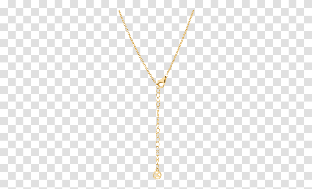 Pendant, Chain, Necklace, Jewelry, Accessories Transparent Png